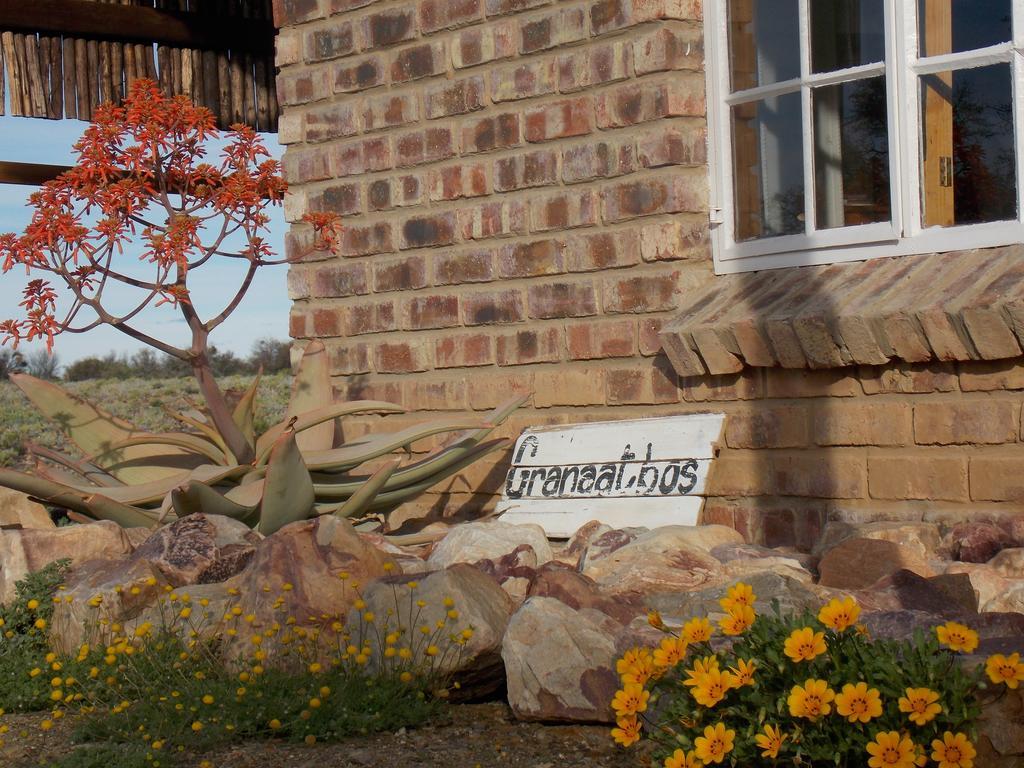 Villa Wolvekraal Guest Farm Prince Albert Exterior foto